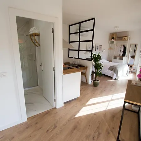 Apartment The Palmas Vv *