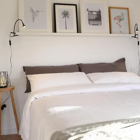 Apartment The Palmas Vv