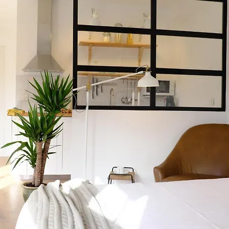 The Palmas Vv Apartment *